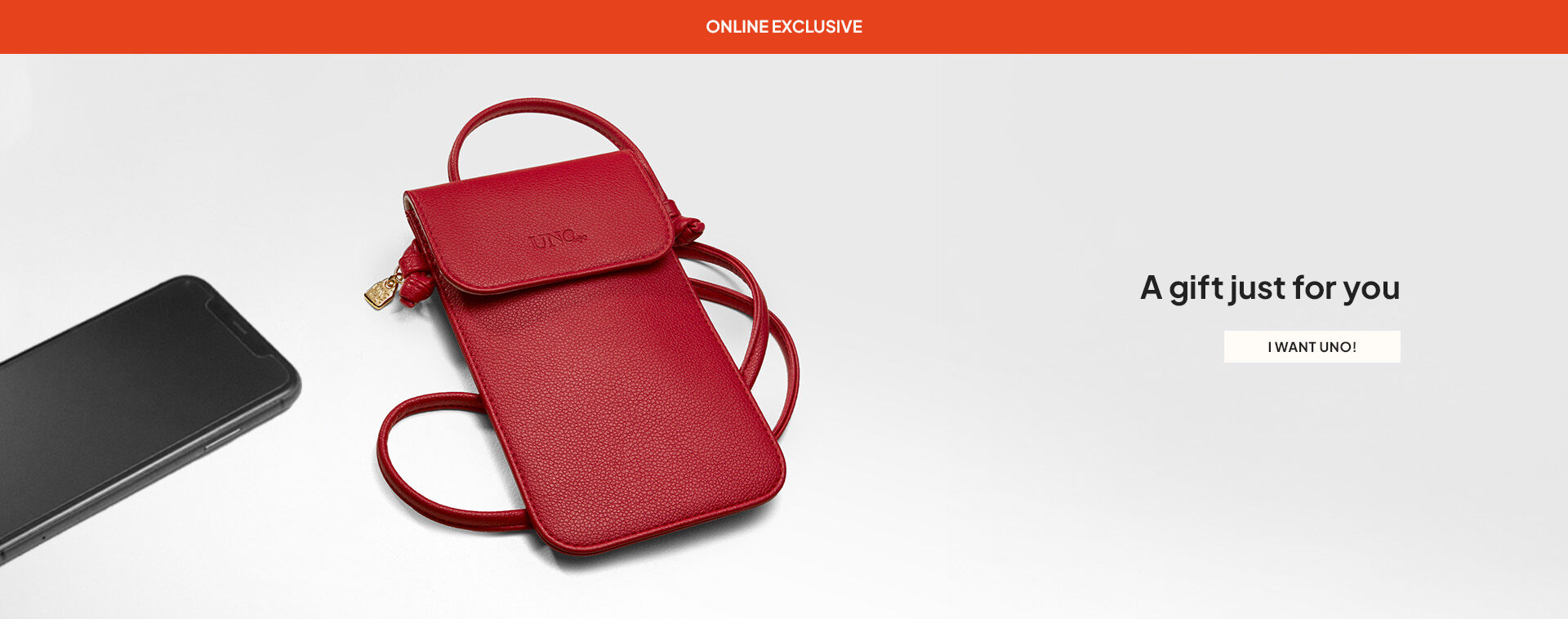 Phone bag