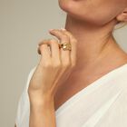 Tubular shaped ring