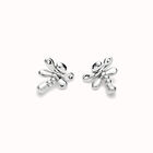 Dragonfly stud earrings