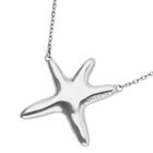 Long necklace with starfish