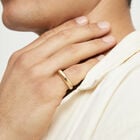 Geometric Ring
