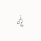 Leo shaped charm