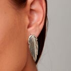 Pluma