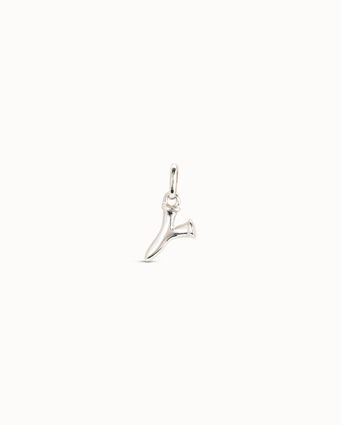 Charm Y´s