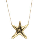 Long necklace with starfish