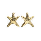 Large starfish-shaped earrings