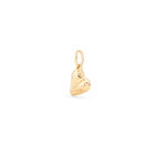 Heart shaped charm
