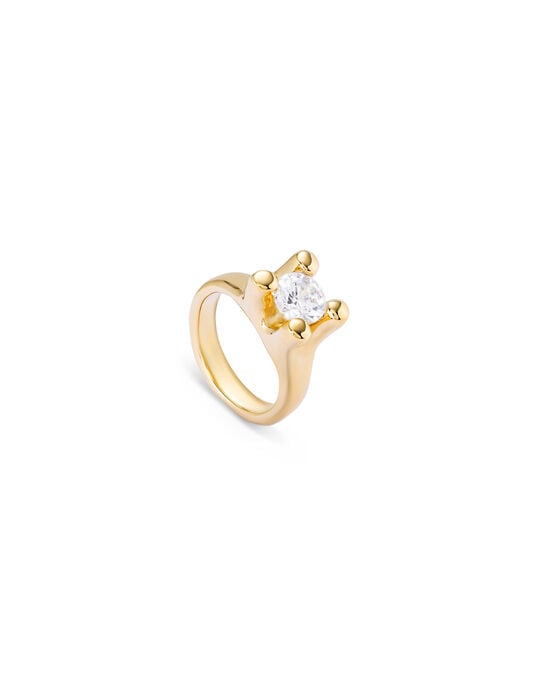 Double white zirconia ring