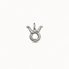 Taurus shaped charm