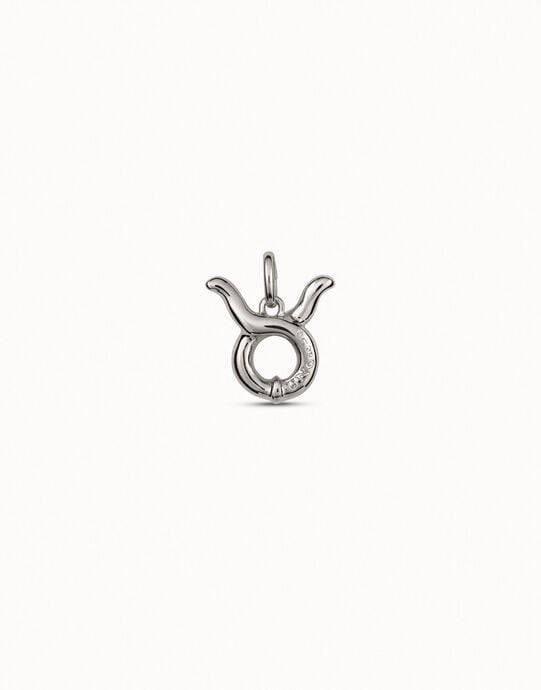 Taurus shaped charm