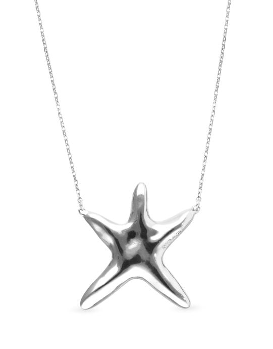 Long necklace with starfish