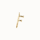 Large F initial charm