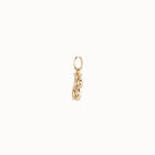 Medium B initial charm