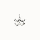 Aquarius shaped charm