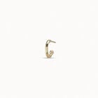 Single Hoop Earring