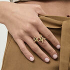 Intertwined starfish ring