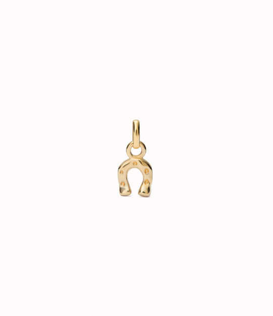 Horseshoe-shaped Charm