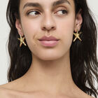 Medium starfish-shaped earrings