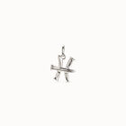 Pisces shaped charm