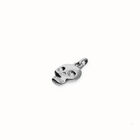 Skull shaped charm