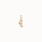 Leo shaped charm