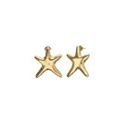Medium starfish-shaped earrings