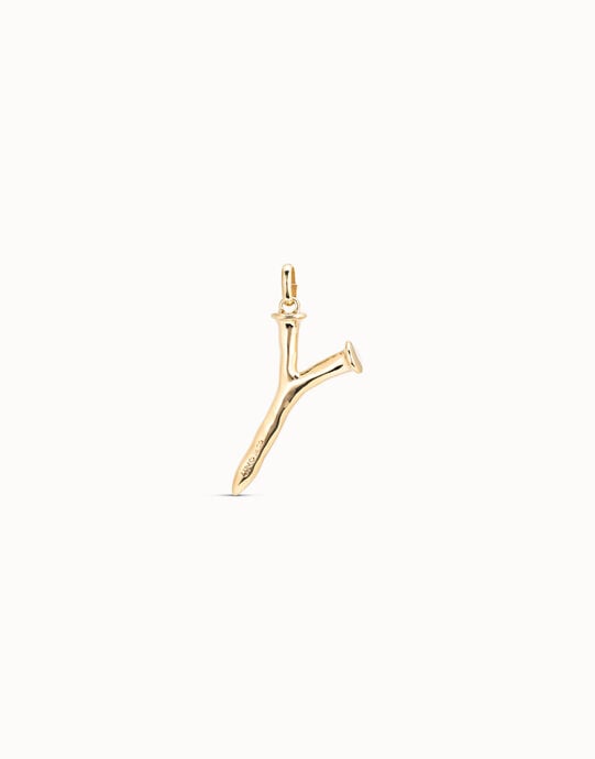 Large Y initial charm