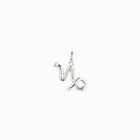 Capricorn shaped charm