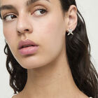 Small starfish earrings