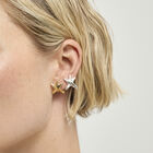Small starfish earrings
