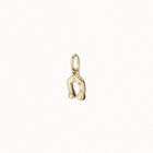 Horseshoe Charm