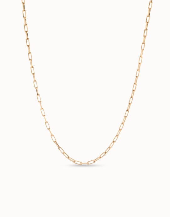 Long link chain charm necklace