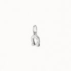 Horseshoe Charm