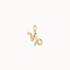 Capricorn shaped charm