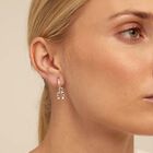 Single Hoop Earring