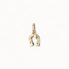 Horseshoe Charm