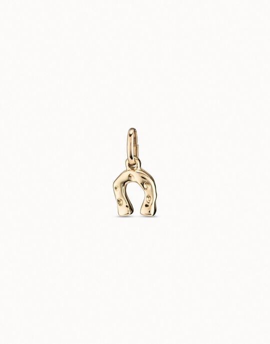 Horseshoe Charm