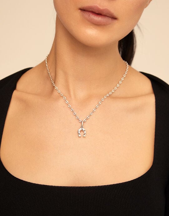Horseshoe Charm, Silver, large