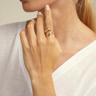 Ring with three organic shapes