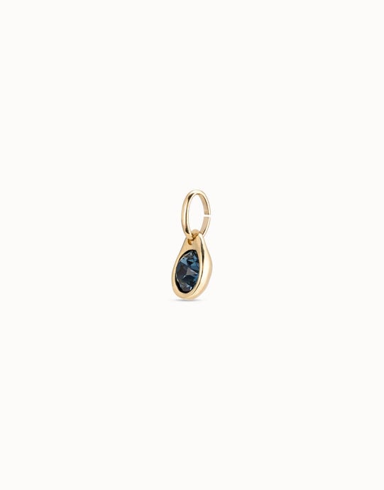 Circular charm with crystal, Golden, large