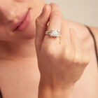 Double white zirconia ring