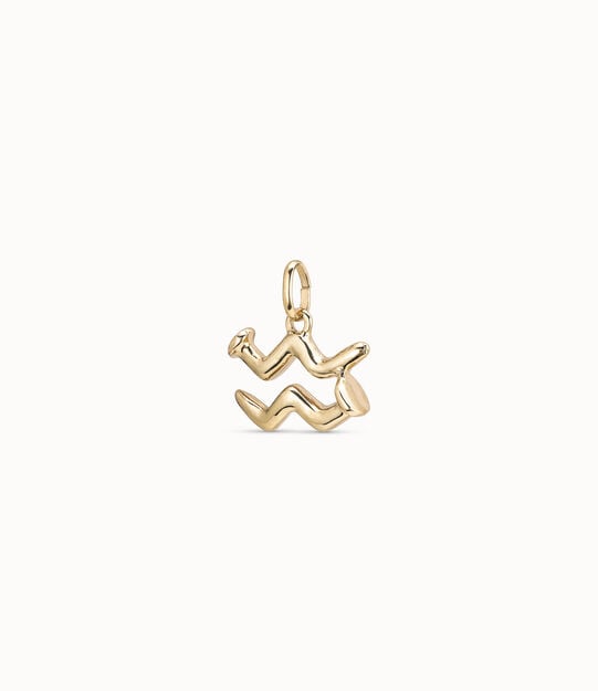 Aquarius shaped charm, Golden, large