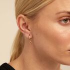 Single Hoop Earring