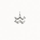 Aquarius shaped charm