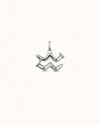 Charm placcato argento Sterling a forma di segno acquario