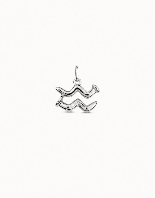 Aquarius shaped charm