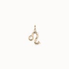 Leo shaped charm