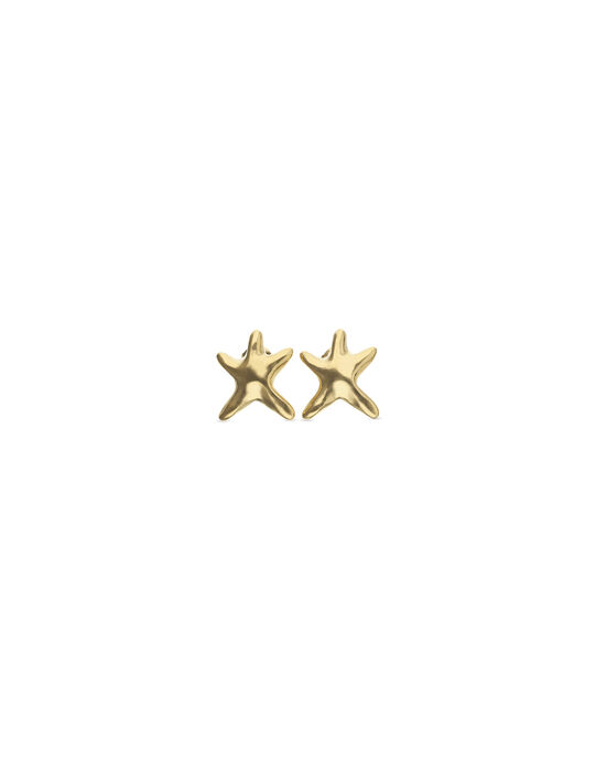 Small starfish earrings