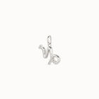 Capricorn shaped charm