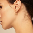 Hoop charm earrings